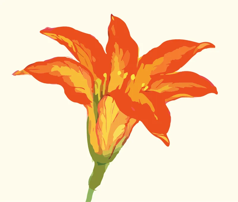Flower Floral Beautiful flowers Stickdatei – Blumen