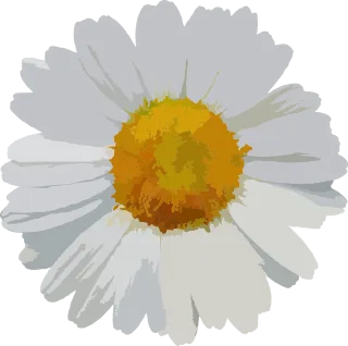 Flower Floral Flower wallpaper Stickdatei