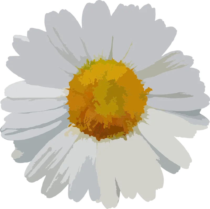 Flower Floral Flower wallpaper Stickdatei – Blumen