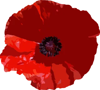 Flower Floral Flower background Stickdatei