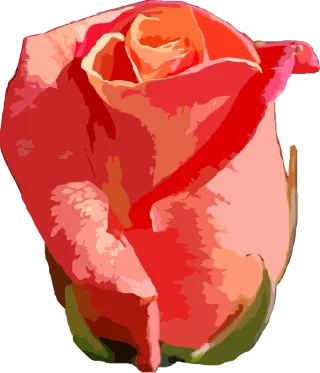 Flower Floral Rose flower Stickdatei