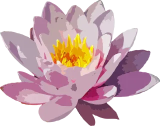 Flower Flower wallpaper Flower background Stickdatei