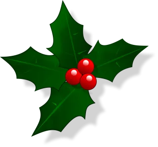 Holly Christmas Decoration Stickdatei