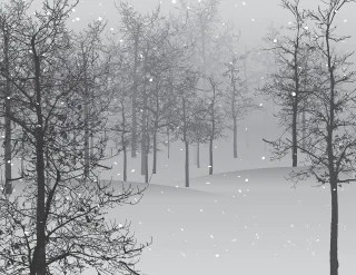 Snow Scene Trees Stickdatei