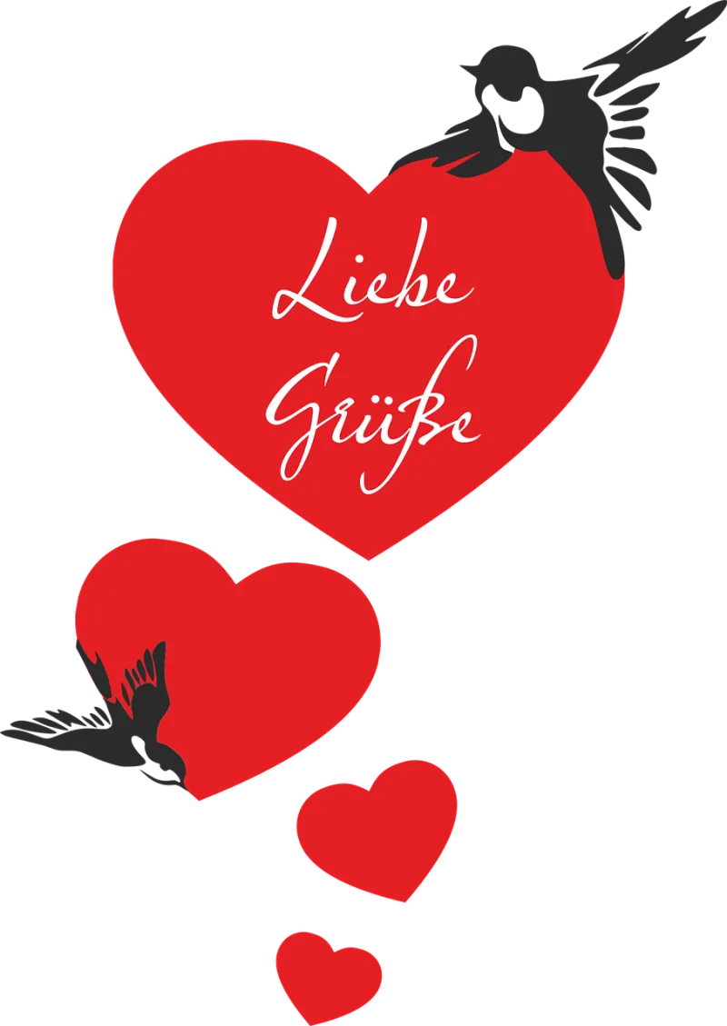 Swallows Heart Valentine's day Stickdatei – Herzen & Liebe