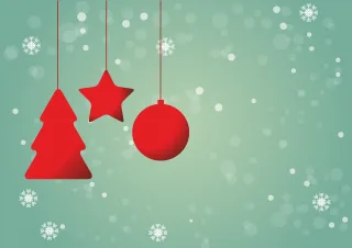 Christmas Red Star Stickdatei