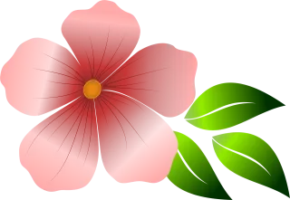 Flower Pink flower Spring Stickdatei
