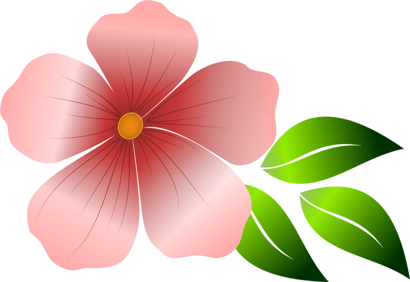Flower Pink flower Spring Stickdatei – Blumen