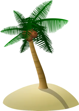 Coconut tree Palm tree Dune Stickdatei