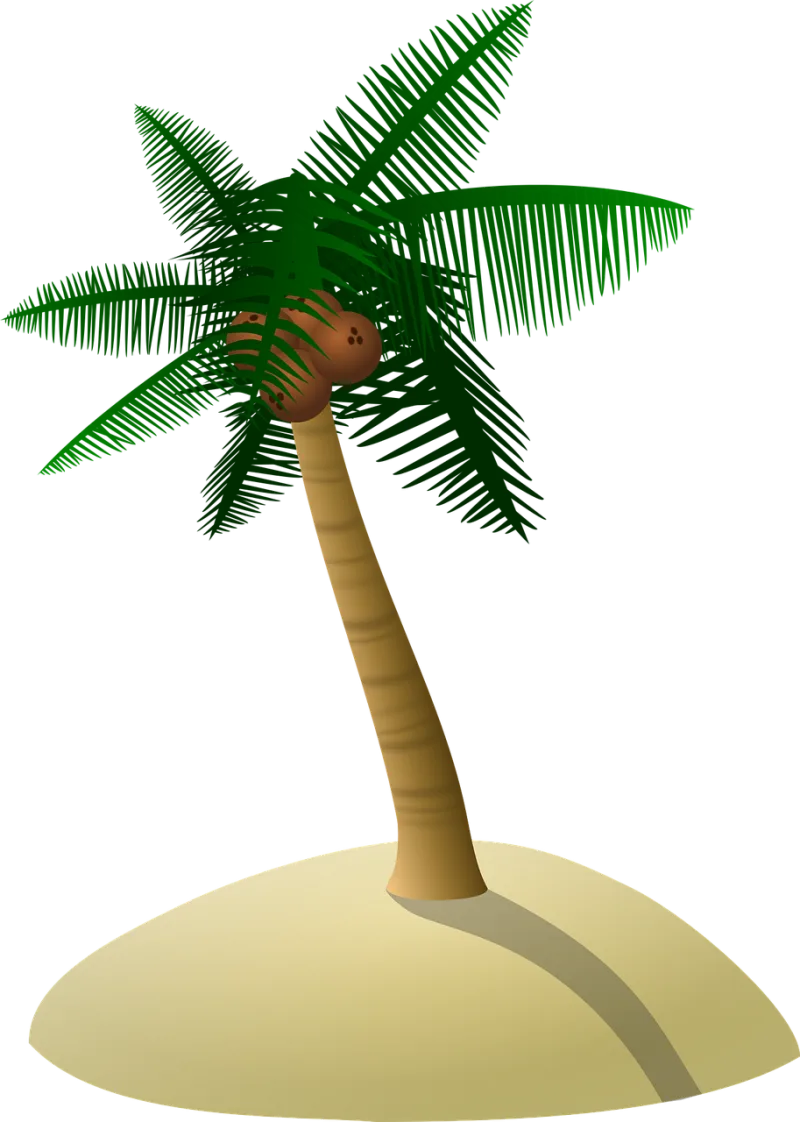 Coconut tree Palm tree Dune Stickdatei – Natur
