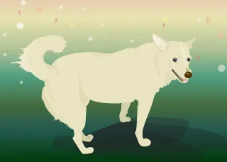 Dog Color Illustration Stickdatei