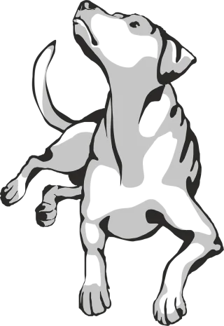 Dog Animal Pet Stickdatei
