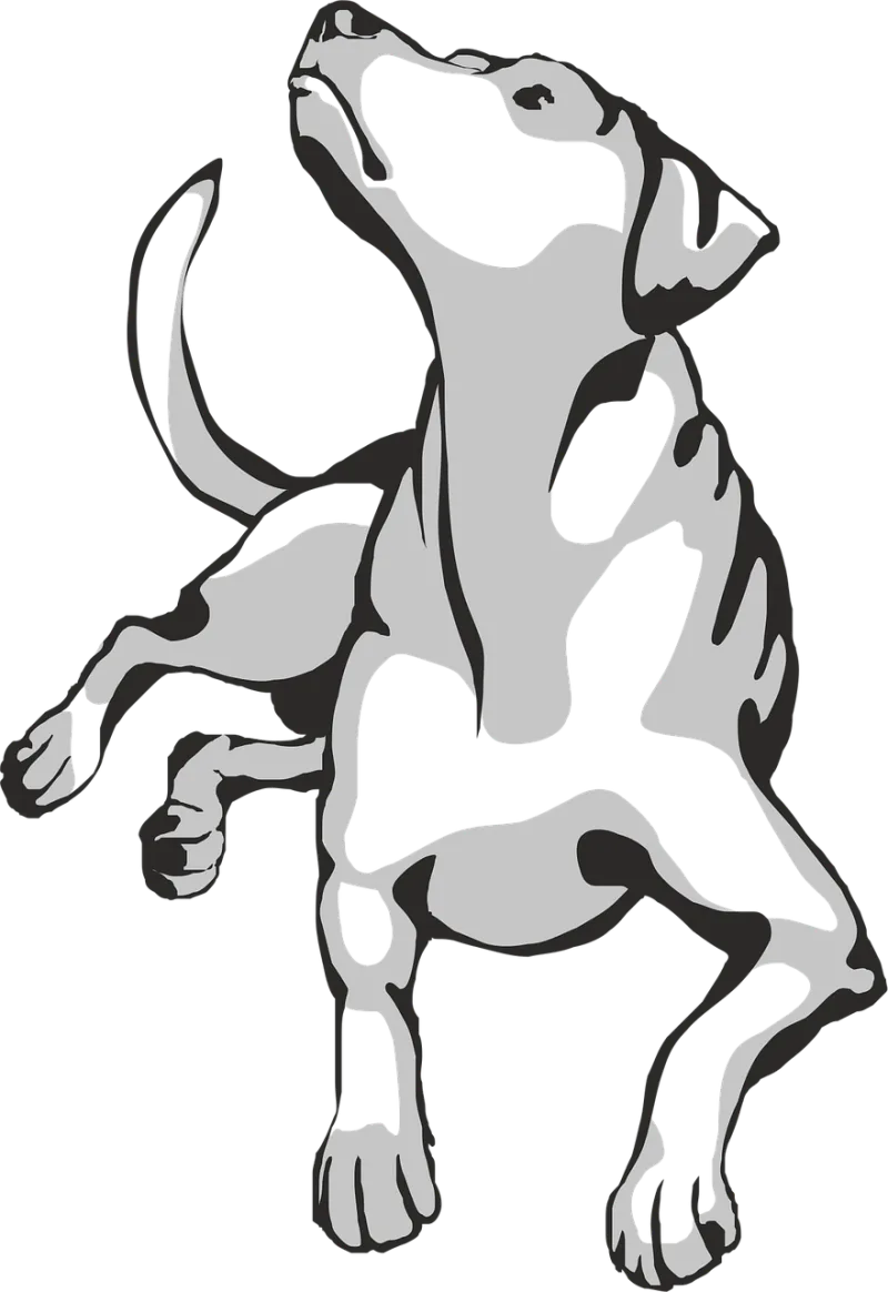 Dog Animal Pet Stickdatei – Tiere