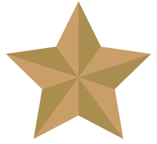 Christmas star Star Gold Stickdatei