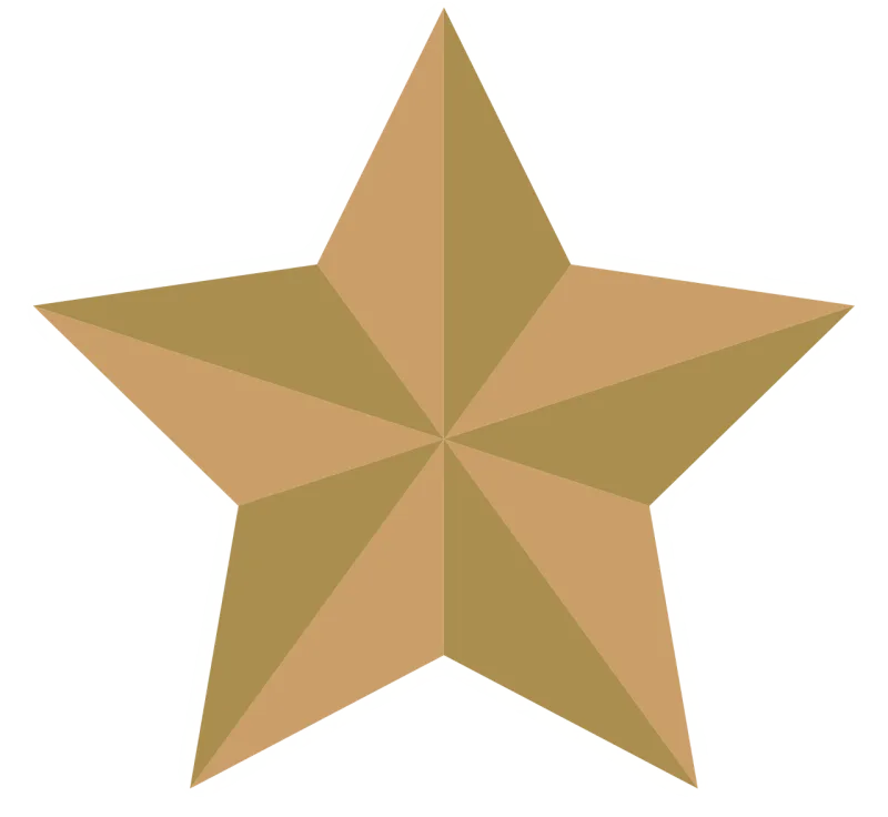 Christmas star Star Gold Stickdatei – Weihnachten