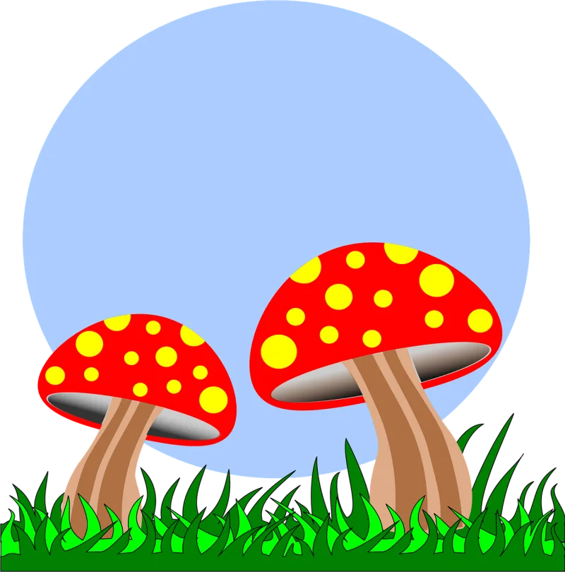 Mushrooms Field Fungus Stickdatei – Natur