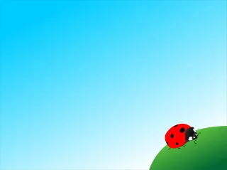 Ladybug Insect Vector Stickdatei