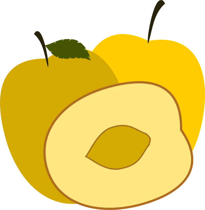 Plum Yellow plum Plums Stickdatei – Essen & Trinken