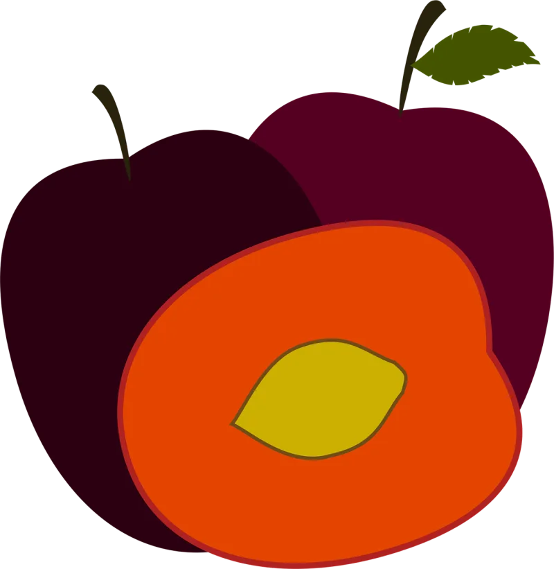 Plum Purple plum Plums Stickdatei – Essen & Trinken