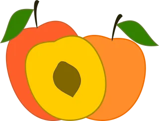 Peach Peaches Fruit Stickdatei