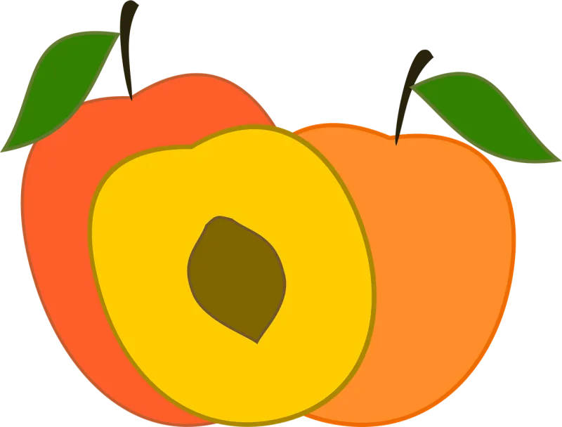Peach Peaches Fruit Stickdatei – Essen & Trinken