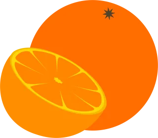 Orange Citric Fruit Stickdatei