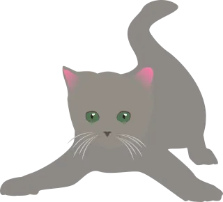 Kitten Cat Animal Stickdatei