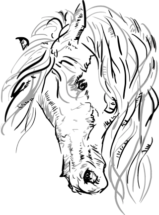 Vector A horse Horsehead Stickdatei