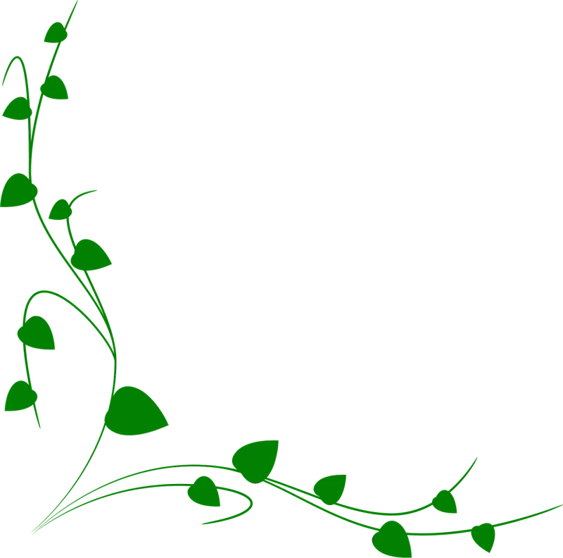 Ornament Flower background Leaves Stickdatei – Blumen