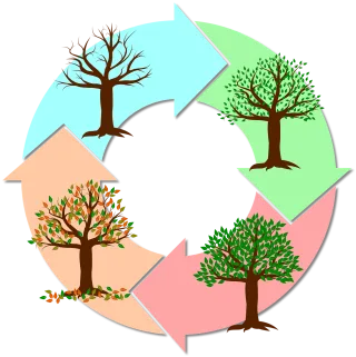 Seasons Year Tree Stickdatei