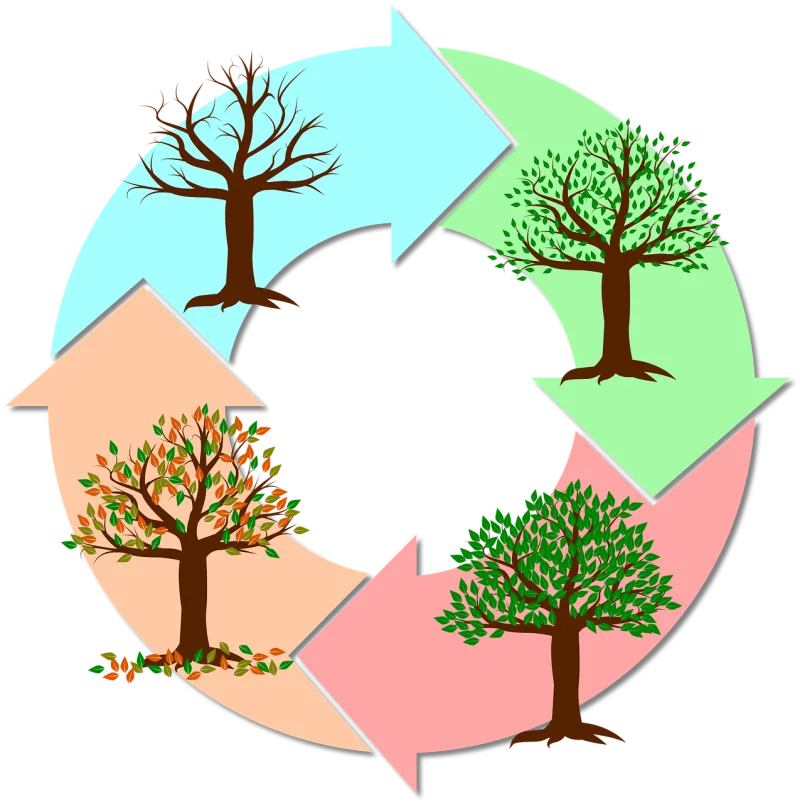 Seasons Year Tree Stickdatei – Weihnachten