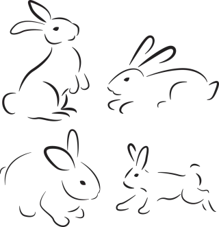 Rabbit Nature Animal Stickdatei