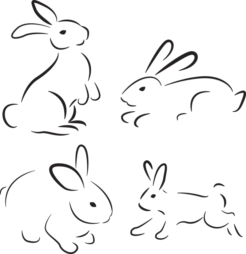 Rabbit Nature Animal Stickdatei – Tiere
