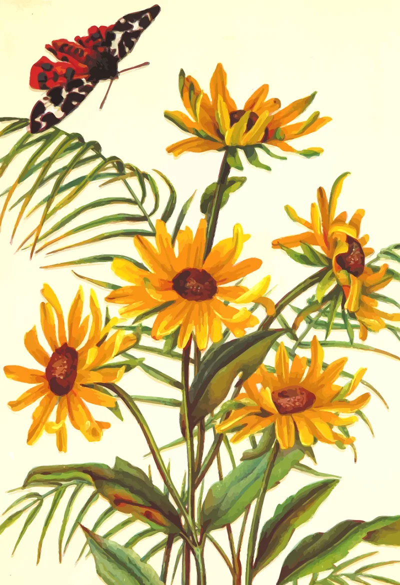 Butterfly Flower wallpaper Floral Stickdatei – Natur