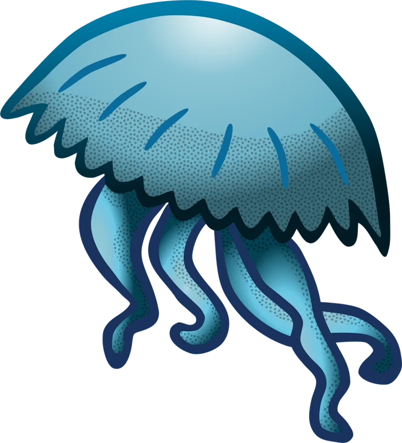 Jellyfish Sea Animal Stickdatei – Sport