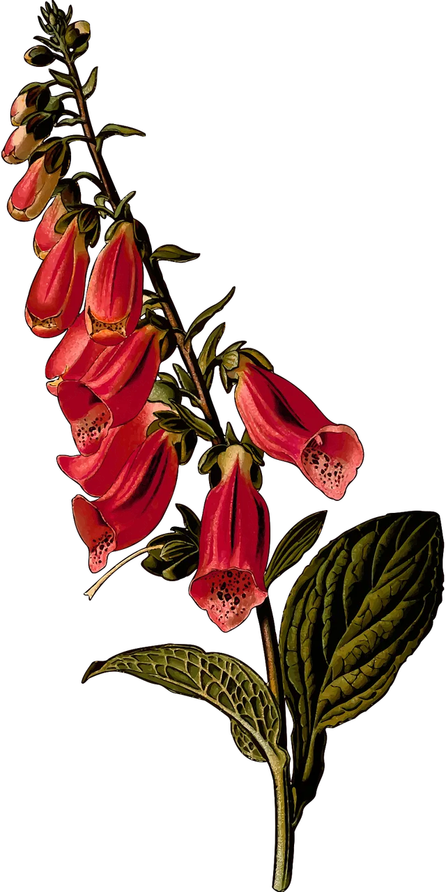 Biennial Nature Branch Stickdatei – Blumen