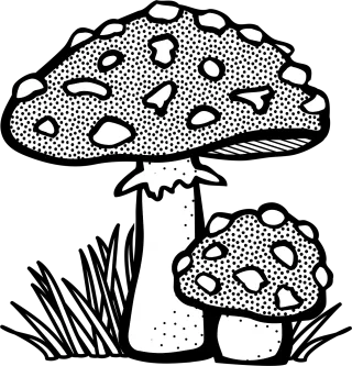 Fungal Mushroom Plant Stickdatei