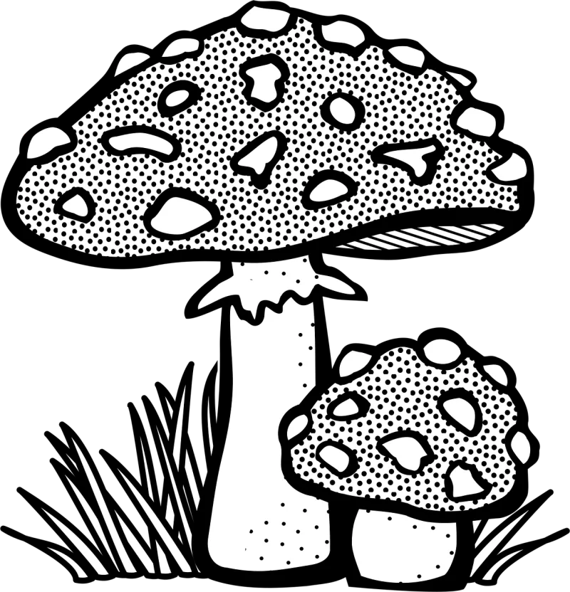 Fungal Mushroom Plant Stickdatei – Natur