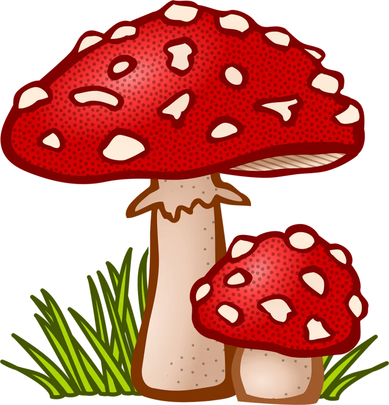 Fungal Nature Mushroom Stickdatei – Natur