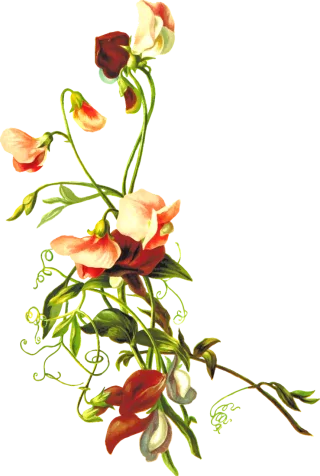 Floral Flower Leaf Stickdatei