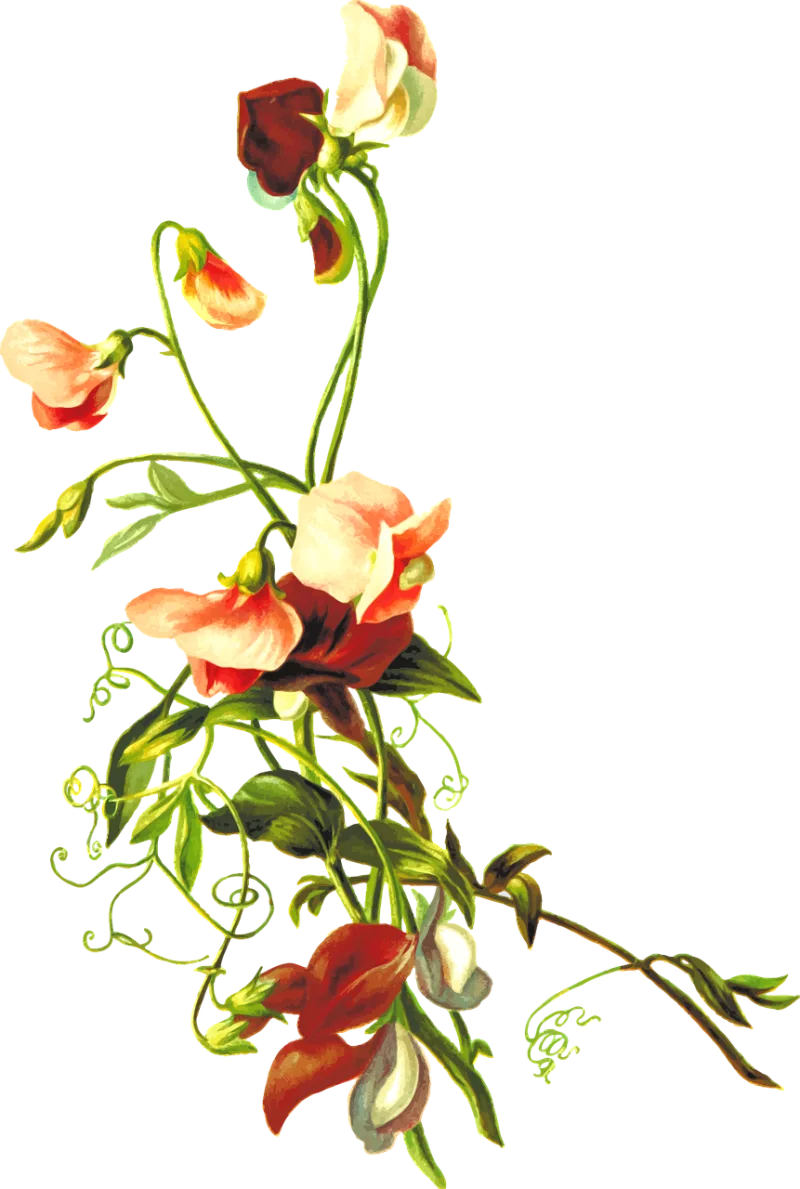 Floral Flower Leaf Stickdatei – Natur