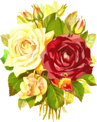 Flora Nature Flower background Stickdatei