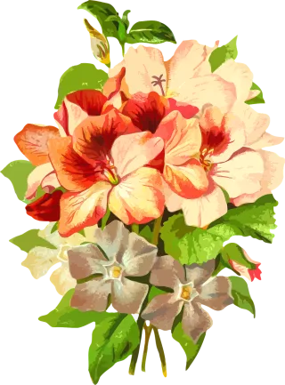 Flora Flower wallpaper Floral Stickdatei
