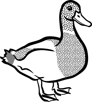 Animal Bird Duck Stickdatei