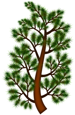 Branch Forest Green Stickdatei