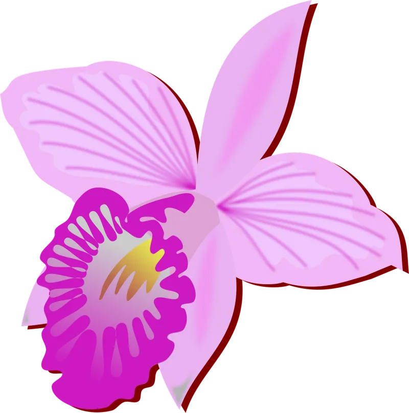 Clip art Beautiful flowers Flower background Stickdatei – Blumen