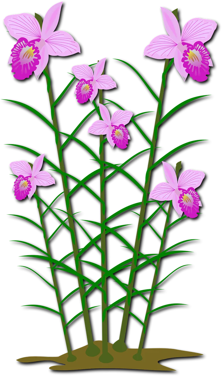 Clip art Flor Flora Stickdatei – Blumen