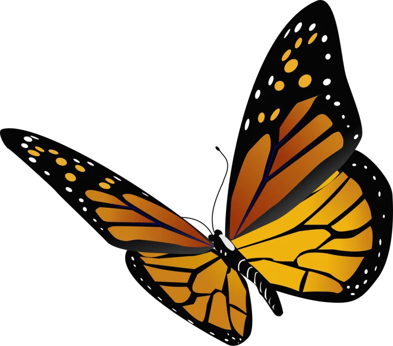 Animal Butterfly Nature Stickdatei – Tiere