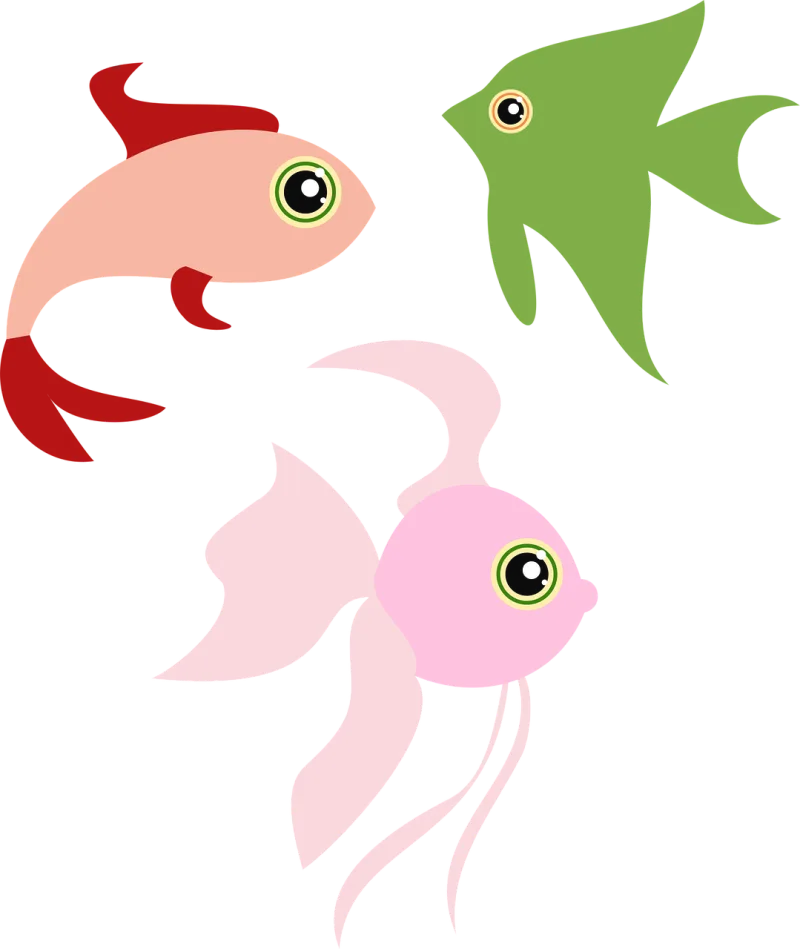 Animals Nature Fish Stickdatei – Sport