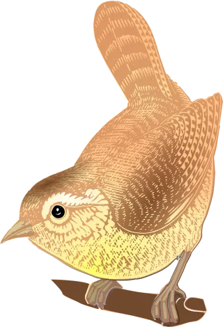 Bird Perched Animal Stickdatei